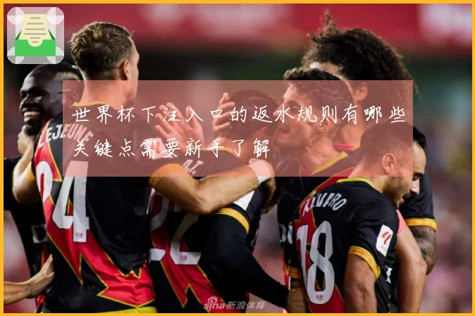 世界杯下注入口的返水规则有哪些关键点需要新手了解