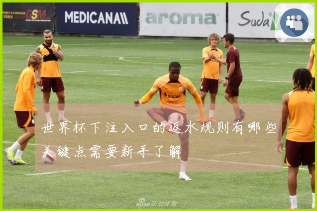 世界杯下注入口的返水规则有哪些关键点需要新手了解
